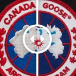 カナダグースの真偽の判断は主に３つ❕